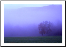 Cades Cove