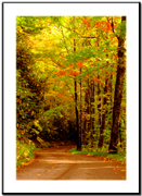 Roaring Fork Motor Nature Trail