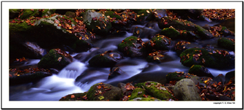 Roaring Fork Motor Nature Trail
